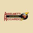 Logo di ANSELMETTI RICCARDO