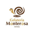 Logo di GELATERIA MONTEROSA