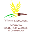 Logo di COOPERATIVA PRODUTTORI AGRICOLI DI CIVITAVECCHIA S.R.L.