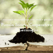 Logo di PICCOLA SOCIETà COOPERATIVA IL GERMOGLIO