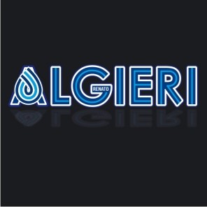Logo di ALGIERI RENATO PERFORAZIONI