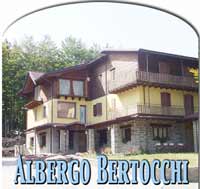 Logo di ALBERGO BERTOCCHI