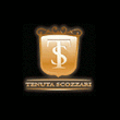 Logo di TENUTA SCOZZARI