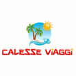 Logo di CALESSE VIAGGI