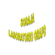 Logo di SORAJA