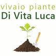 Logo di AZIENDA AGRICOLA DI VITA LUCA