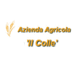 Logo di AGRITURISMO TRIESTE