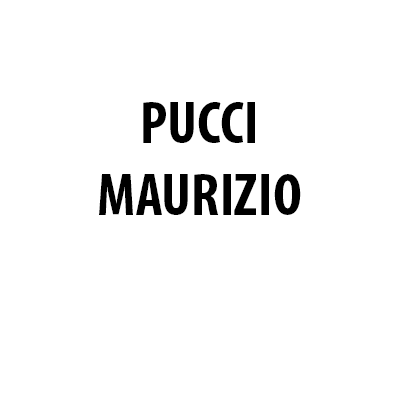 Logo di PUCCI MAURIZIO