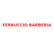Logo di FERRUCCIO BARBERIA