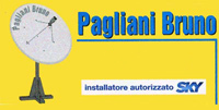 Logo di PAGLIANI BRUNO