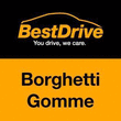 Logo di BORGHETTI GOMME