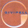 GIVIPELL PELLI E PELLAMI  GIVIPELL sas
