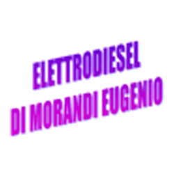 Logo di ELETTRODIESEL