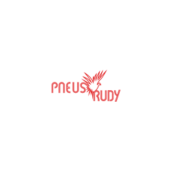 Logo di PNEUSRUDY D. BICCIATO RUDI E C. SAS