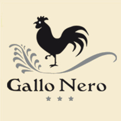 Logo di HOTEL GALLO NERO
