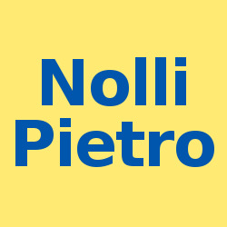 Logo di AUTOFFICINA MECCATRONICA NOLLI P. E DE TITTA D.