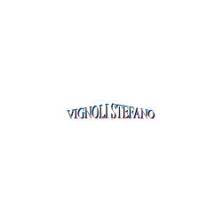 Logo di VIGNOLI PIERANGELO E STEFANO