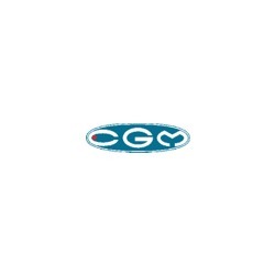 Logo di CGM SPA