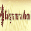 Logo di MAURO MEONI