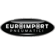 Logo di EUROIMPORT PNEUMATICI