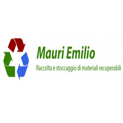 Logo di MAURI EMILIO