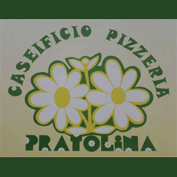 Logo di PIZZERIA PRATOLINA