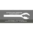 Logo di AUTOFFICINA EMMEDIBI