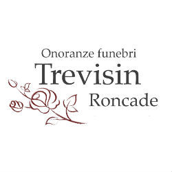 Logo di TREVISIN RONCADE