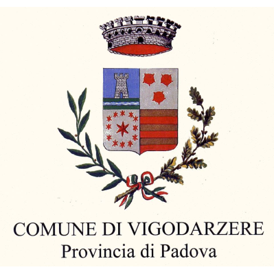 Logo di COMUNE DI VIGODARZERE