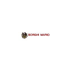 Logo di CANTINE BORGHI