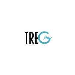 Logo di TRE G DI GERI ENRICO & ALESSIO S.N.C.