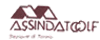 ASSINDATCOLF SEZIONE DI TORINO ASSOCIAZIONE NAZIONALE TRA I DATORI DI LAVORO E DEI COLLABORATORI