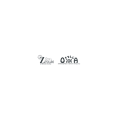 Logo di OTTICA ZENNARO
