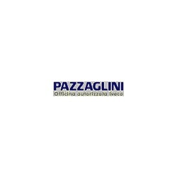 Logo di PAZZAGLINI LINO E C.