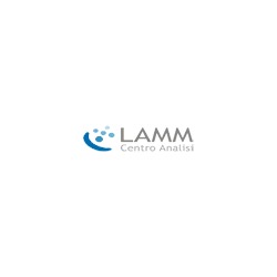 Logo di CENTRO ANALISI LAMM