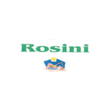 Logo di ROSINI SCAVI E DEMOLIZIONI
