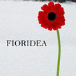 Logo di FIORIDEA