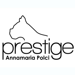 Logo di PRESTIGE BOUTIQUE