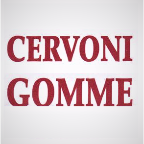 Logo di NOLEGGIO AUTO CERVONI
