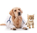 Logo di CARUSO DR. ANTONINO - MEDICO VETERINARIO
