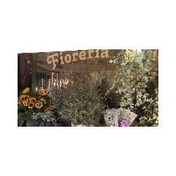 Logo di FIORERIA RIVIERA