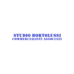 Logo di STUDIO BORTOLUSSI COMMERCIALISTI ASSOCIATI
