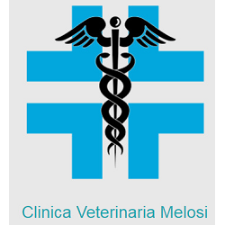 Logo di CLINICA VETERINARIA MELOSI