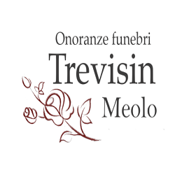 Logo di TREVISIN RONCADE
