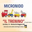 Logo di IL TRENINO