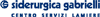 SIDERURGICA GABRIELLI spa - DIVISIONE LAMIERE GROSSE