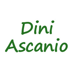 Logo di DINI ASCANIO