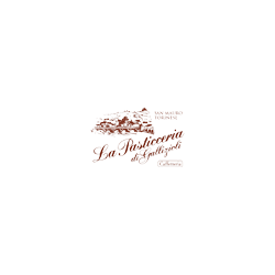 Logo di PASTICCERIA GALLIZIOLI