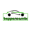 Logo di BEPPE RICAMBI DI TARTAGLIONE GIUSEPPE