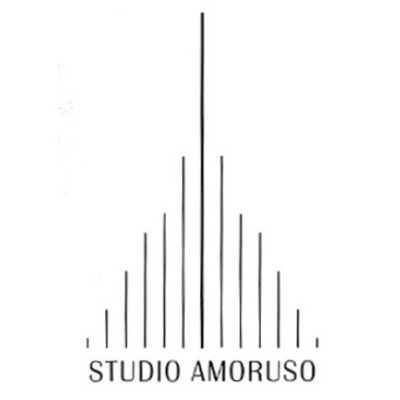 Logo di AMORUSO ENRICO STUDIO